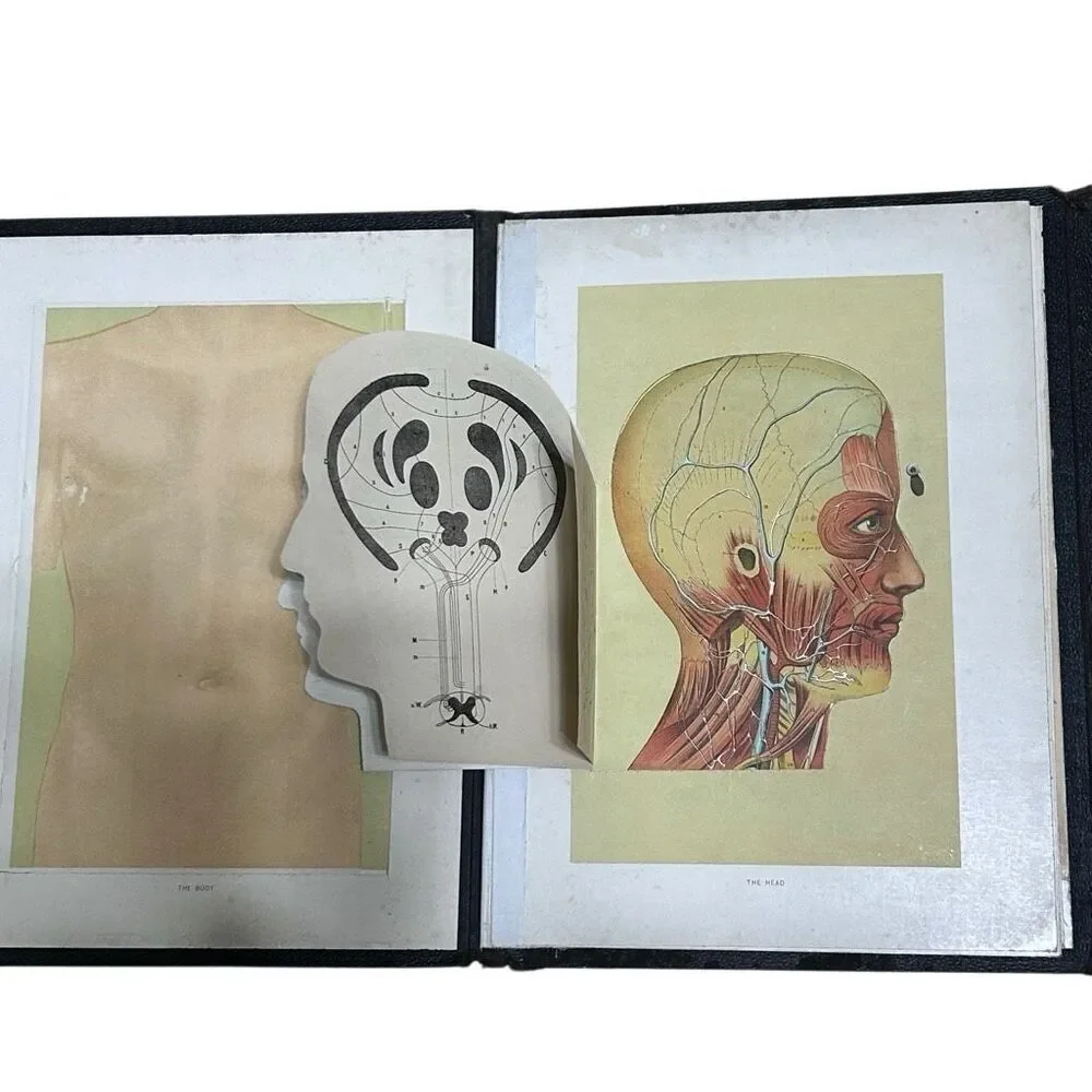 Vtg Western Publishing Nurses/Physician's Anatomical Aid by Ira E. Bunn & Co.